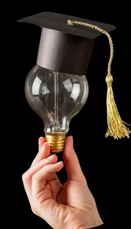 lampadina università